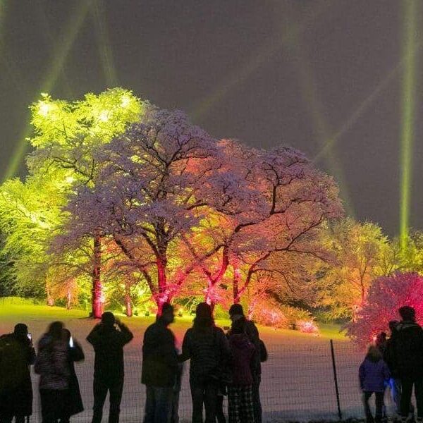 Illuminati Illuminations Become a member of the Illuminati Society