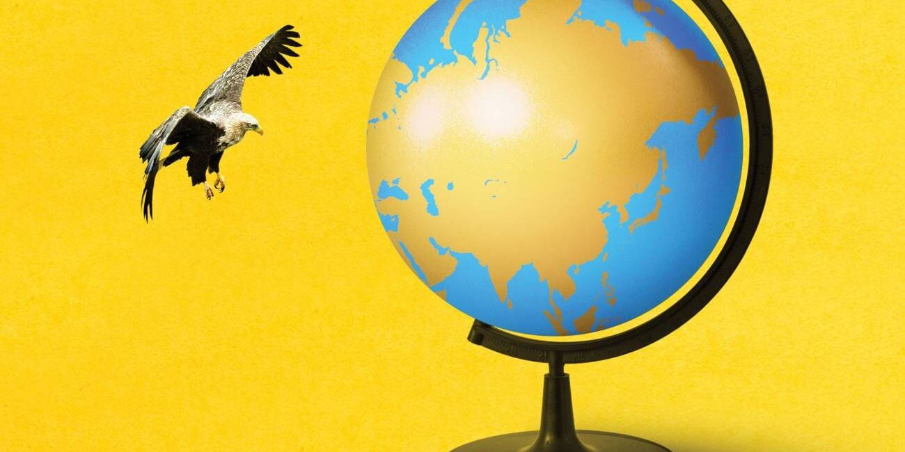 The New World Order China: The New World Order