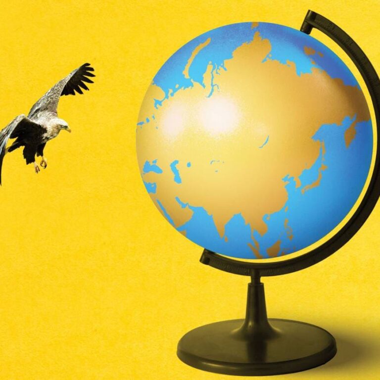 The New World Order China: The New World Order